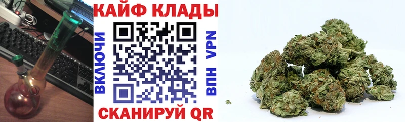 Купить закладку Псилоцибиновые грибы  МДМА  Мефедрон  МАРИХУАНА  ГАШИШ  COCAIN  Заводоуковск